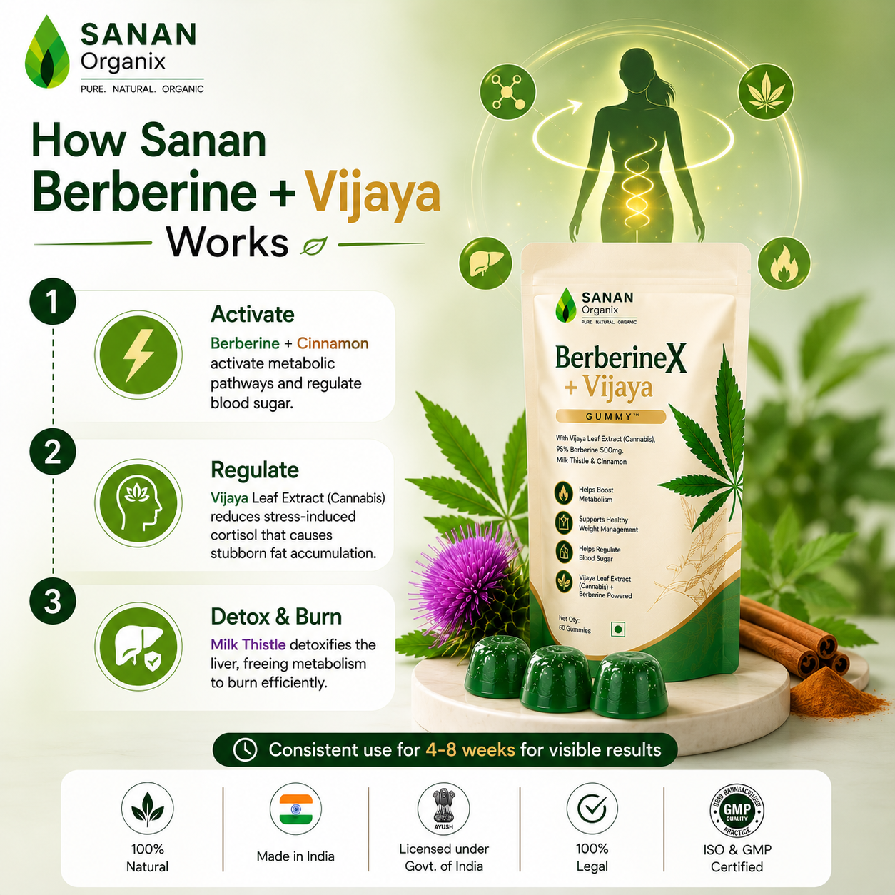 Sanan BerberineX + Vijaya Gummy™