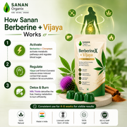 Sanan BerberineX + Vijaya Gummy™