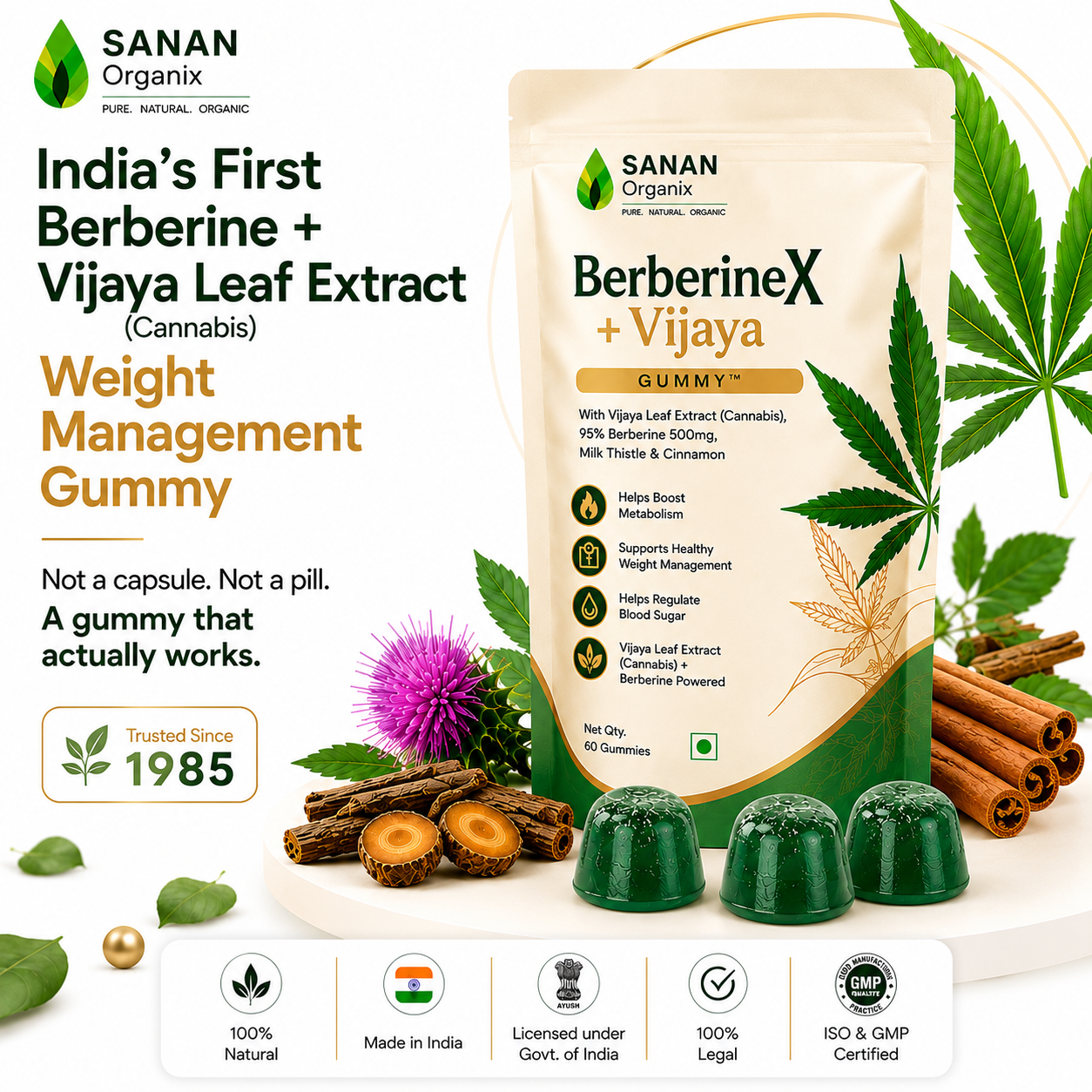 Sanan BerberineX + Vijaya Gummy™