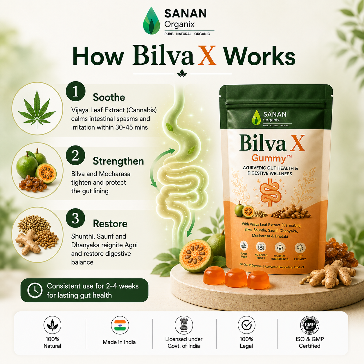BilvaX Gut Health Gummy™