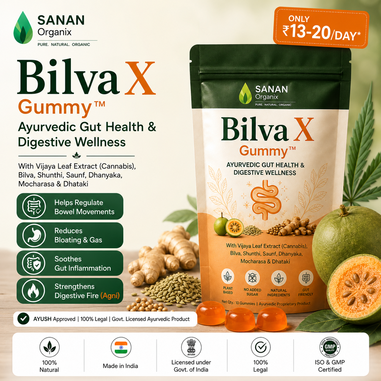 BilvaX Gut Health Gummy™