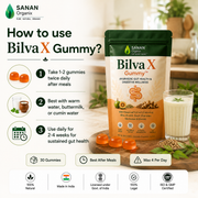 BilvaX Gut Health Gummy™