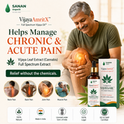 VijayaAmritX Full Spectrum Vijaya Oil™
